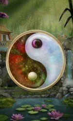 Panda Money